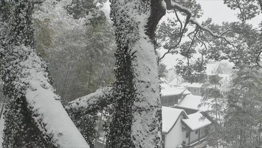 航拍城市风光长沙雪景古建筑岳麓书院雪景