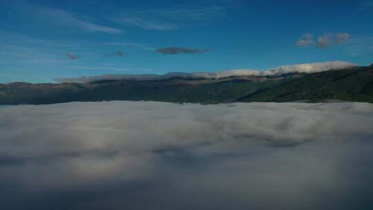 用无人机在云海上横向飞行，想象一个有森林