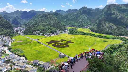 4K贵州兴义万峰林稻田画乡村振兴风光航拍