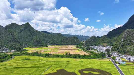 4K贵州兴义万峰林稻田画乡村振兴风光航拍