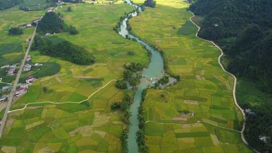 Ngoc Con，曹邦，越南