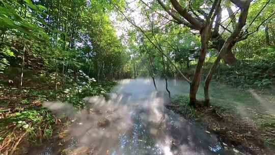 穿越机航拍热带雨林丁达尔效应小溪流水光影