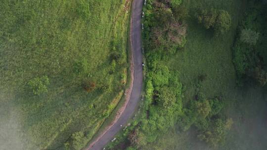 航拍草原间的道路