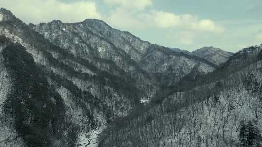 有树木的雪山景色