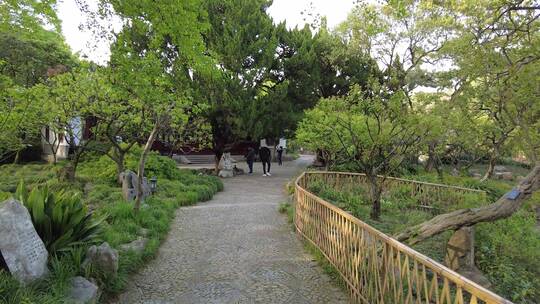 上海古猗园景区4K实拍原素材