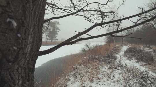 航拍特写被大雪覆盖的森林鹅毛大雪雾凇