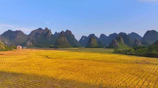 航拍喀斯特地貌视频素材模板下载