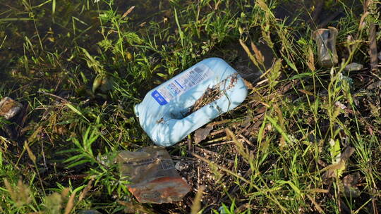 水边的塑料瓶-塑料污染