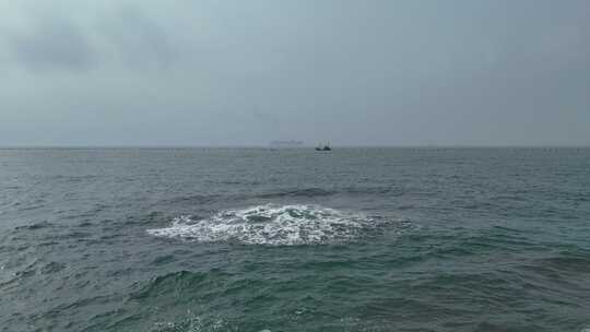 青岛大海中的货轮轮船大船货运航运