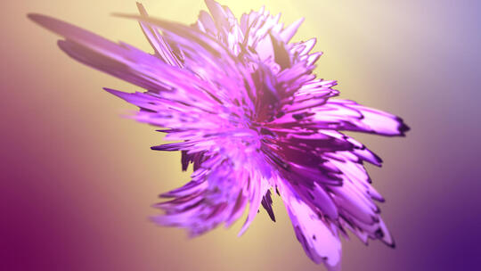 抽象花朵旋转变化绚丽3D动画4KAE工程