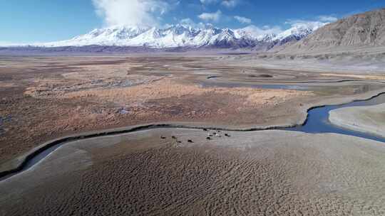 新疆喀什塔县塔合曼湿地风光