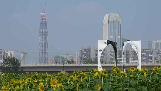 成都有花田前景的高铁道路与城市