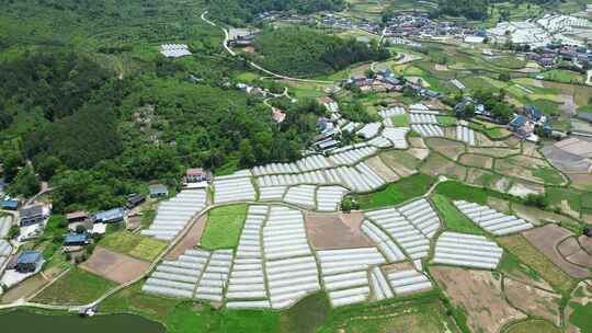 合集农业种植大棚农田稻田蔬菜航拍