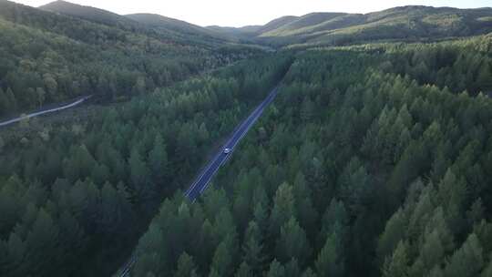 森林公路  航拍开车 航拍 山林驾驶汽车 4k