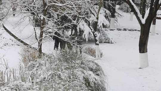 龙年春节汉中春雪