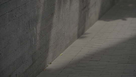 阳光洒在路边的角落上