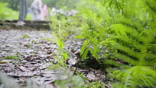 女子捡起空瓶子在阴雨天的森林中行走