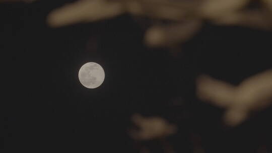 月亮意境 月圆之夜
