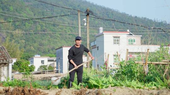 4k乡村田园菜地种植锄地