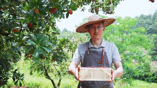 农民在果园采摘杨梅对着镜头微笑