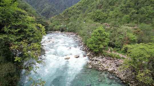 4K怒江独龙江乡普卡旺 原始森林溪流风景1