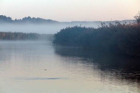 伊犁杏风 清甜 弹唱调 花海片 公益片