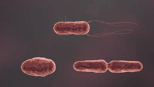 医疗病菌病毒细菌分子病原体生物三维动画