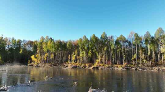秋季森林河风景