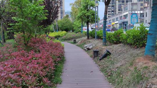 城市道路马路街头景象实拍