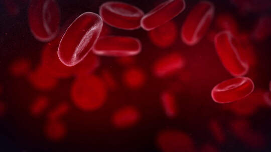 红色血细胞流动背景视频素材模板下载