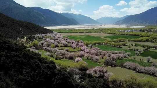 航拍西藏林芝尼洋河畔桃花田园