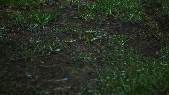 暴雨下雨雨季阴天