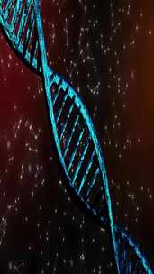 DNA基因序列动画