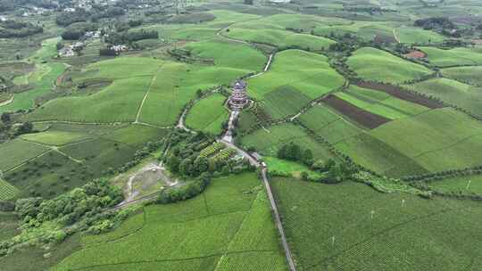 航拍贵州省遵义市湄潭县相间在山间的茶园