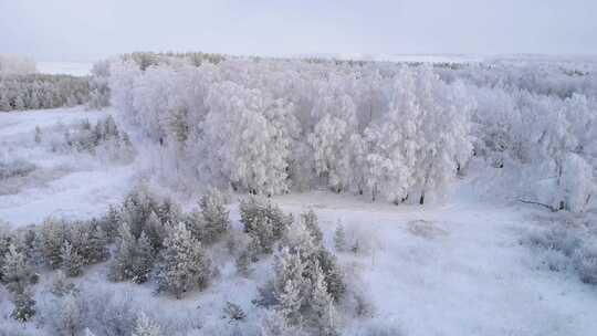 北方冬天银装素裹的森林