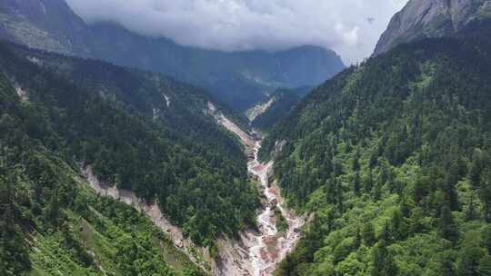 航拍四川甘孜贡嘎山区南门关沟森林河谷风光