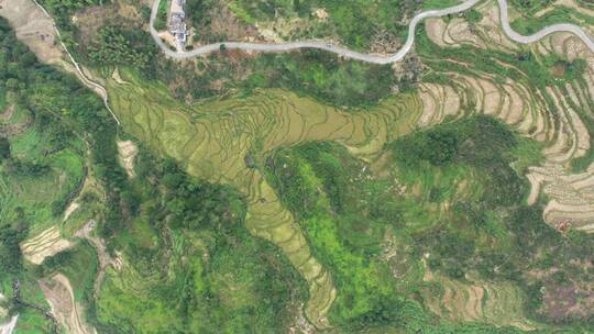 航拍 上饶灵山水晶山梯田秋季稻田风光