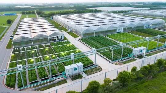 大棚蔬菜种植基地航拍素材