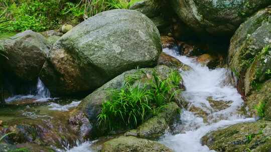 清澈纯净小溪流水泉水小河流域