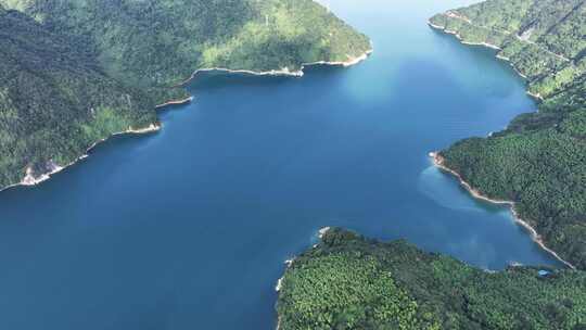 湖南省郴州市东江湖 航拍夏季森林 湖光山色