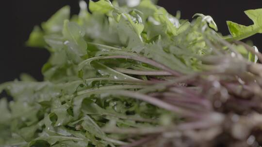 婆婆丁野菜LOG视频素材