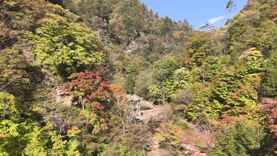 4K航拍重庆黎坪森林公园风景区