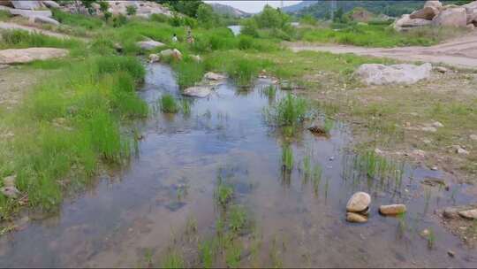 航拍威海市文登区界石镇楚岘村夏季小河流水