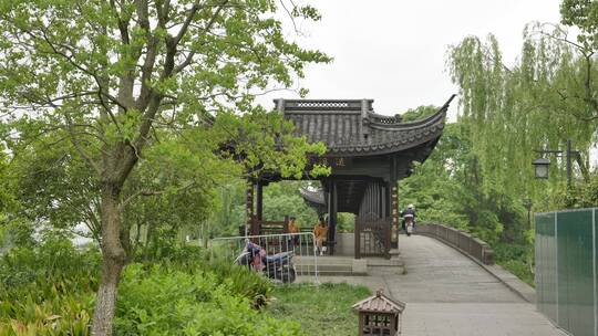 浙江杭州湘湖自然风景-合集