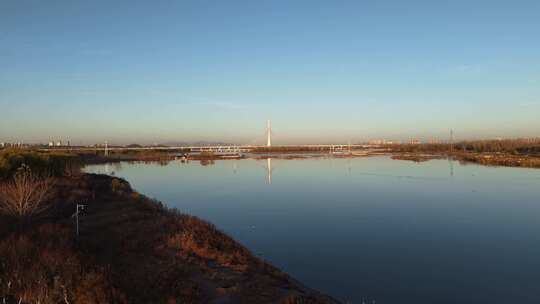 湿地保护区 鸟 石家庄 复兴大街 滹沱河