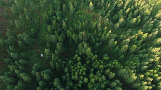 无人机拍摄的森林之间的河流视频素材模板下载