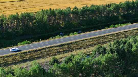 穿过树林与稻田的公路航拍