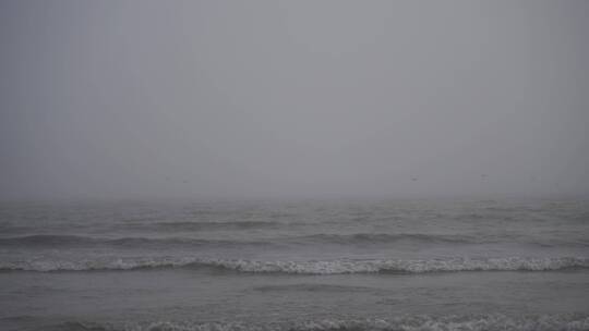 大海飞鸟海面海鸟捕鱼抓鱼阴天海边雨天雾天