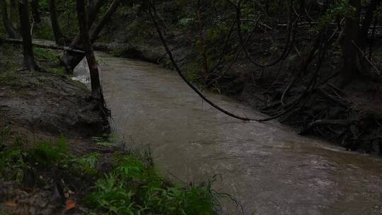 雨季森林下雨流水溪水