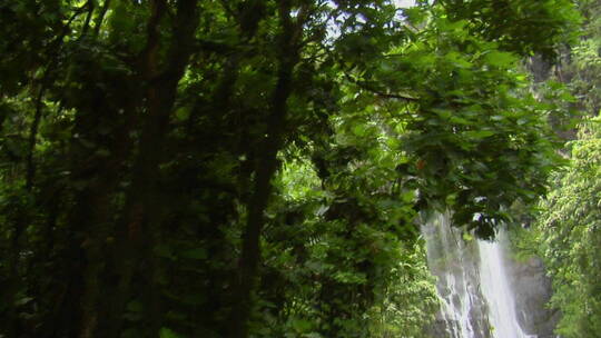 丛林中的热带瀑布视频素材模板下载